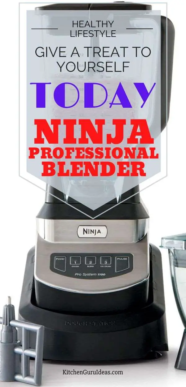 ninja professional blender review