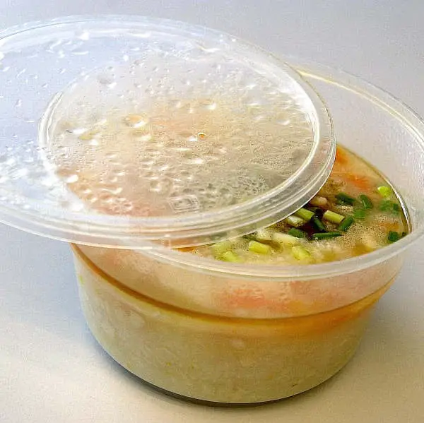 plastic food container