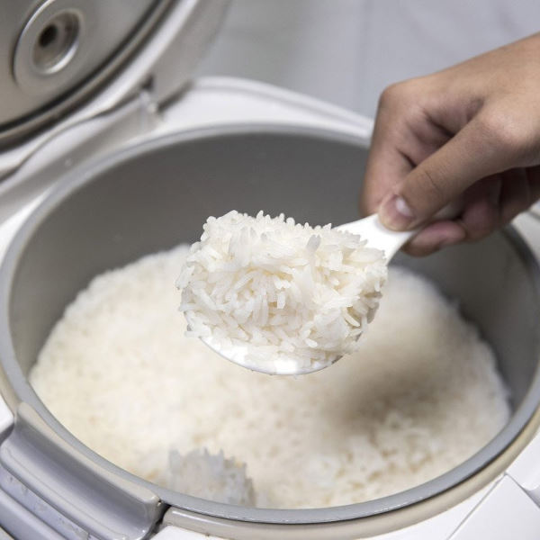 cooking rice in rice cooker