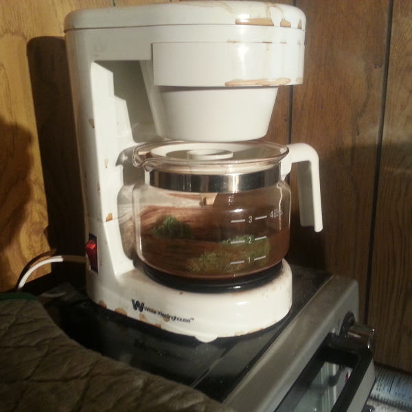 mold in coffee maker