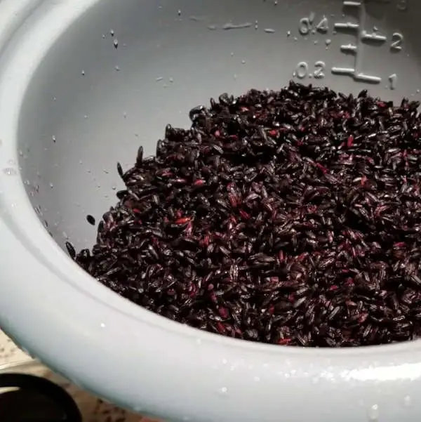 wild rice in rice cooker
