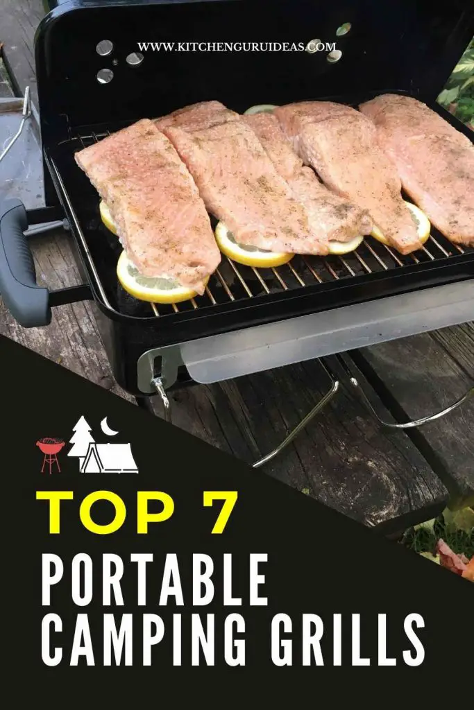 7 Best Portable Grills for Camping Gas, Charcoal, er... Kitchen Guru