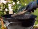 charcoal grill cleaning