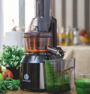 best budget masticating juicer