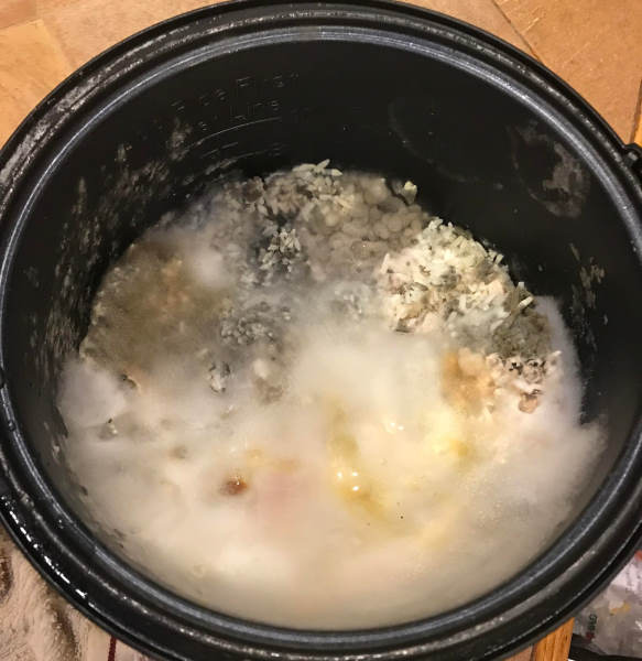 moldy rice in rice cooker pot