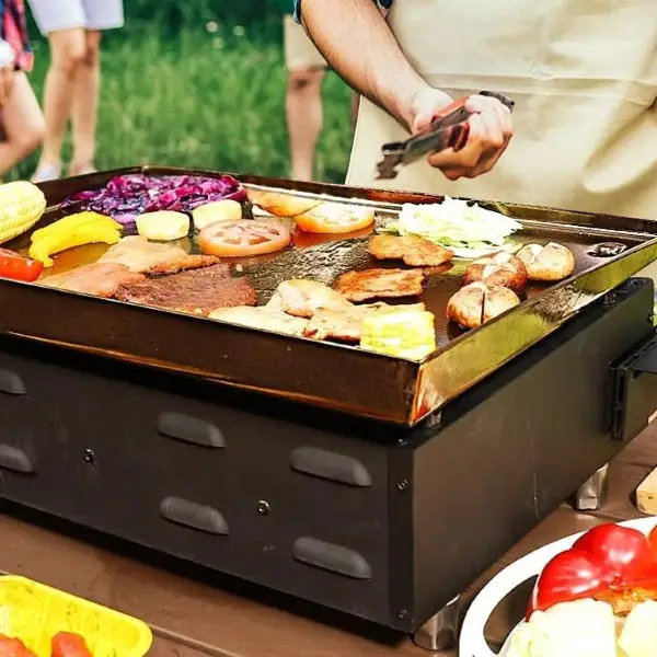 9 BEST Portable Griddles of 2024 for Camping, RV,…